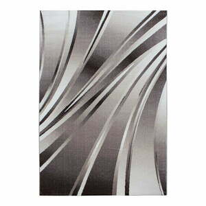 Brązowy dywan 120x170 cm Parma – Ayyildiz Carpets obraz