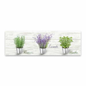 Obraz Styler Canvas Shabby Herbs, 27x75 cm obraz