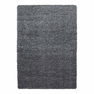 Ciemnoszary dywan 80x150 cm Life – Ayyildiz Carpets obraz