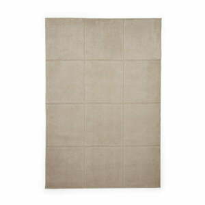 Beżowy dywan 160x230 cm Elio Mink – Think Rugs obraz