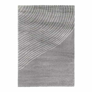 Szary dywan 160x230 cm Coastalina – Bonami Selection obraz