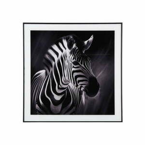 Obraz 50x50 cm Zebra – PT LIVING obraz