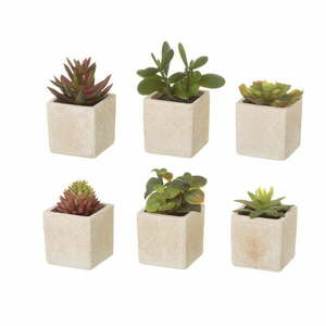 Sztuczne rośliny zestaw 6 szt. (wysokość 9, 5 cm) Cactus – Casa Selección obraz