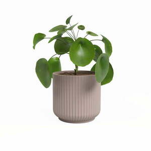 Ceramiczna doniczka ø 19 cm Luna – Artevasi obraz