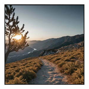 Obraz 50x50 cm Mountain Path obraz