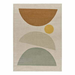 Dywan Universal Domus, 120x170 cm obraz
