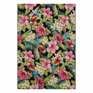 Dywan odpowiedni na zewnątrz 80x165 cm Flair – Hanse Home obraz