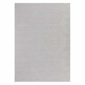 Jasnoszary dywan 160x230 cm Sahara – Ayyildiz Carpets obraz