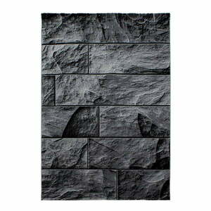 Ciemnoszary dywan 120x170 cm Parma – Ayyildiz Carpets obraz