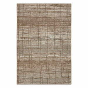 Brązowy/beżowy dywan 80x120 cm Terrain – Hanse Home obraz