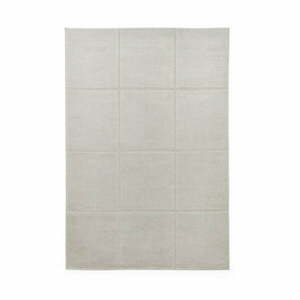 Jasnoszary dywan 120x170 cm Elio Silver – Think Rugs obraz