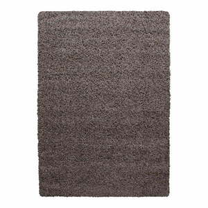 Brązowy dywan 160x230 cm Life – Ayyildiz Carpets obraz