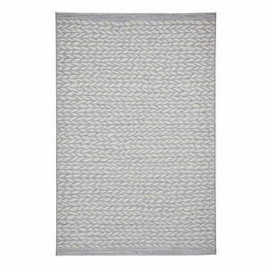 Szary dywan odpowiedni na zewnątrz 220x160 cm Coast – Think Rugs obraz