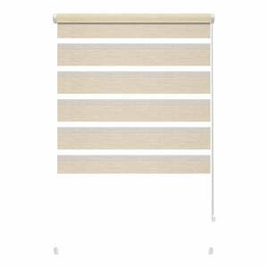 Kremowa roleta dzień i noc 42, 5x150 cm Zebra Silvalin – Gardinia obraz