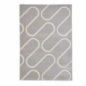 Szary dywan 120x170 cm Linear Curve – Catherine Lansfield obraz