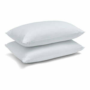Poduszka 2 szt. 74x48 cm Quilted Comfort Embossed – Catherine Lansfield obraz