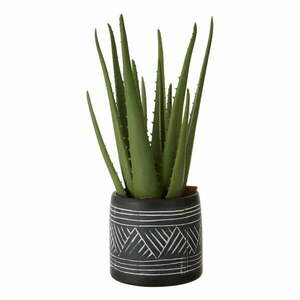 Doniczka – Premier Housewares obraz