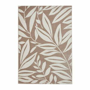 Jasnobrązowy dywan 160x230 cm Sorral Leaves – Catherine Lansfield obraz