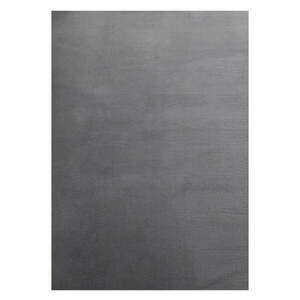 Szary dywan odpowiedni do prania 160x230 cm Sky – Ayyildiz Carpets obraz