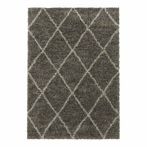 Brązowy dywan 160x230 cm Alvor – Ayyildiz Carpets obraz