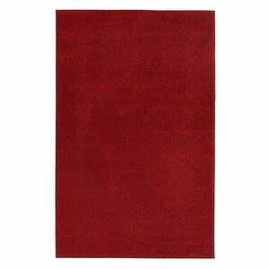 Czerwony dywan Hanse Home Pure, 160x240 cm obraz