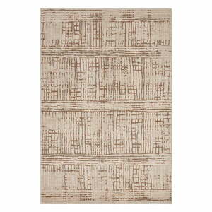 Brązowy/beżowy dywan 80x120 cm Terrain – Hanse Home obraz