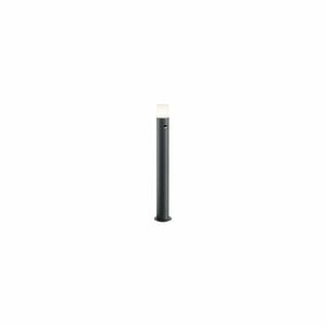 Lampa zewnętrzna z czujnikiem ruchu (wysokość 80 cm) Hoosic – Trio obraz