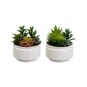 Sztuczne rośliny zestaw 2 szt. (wysokość 19 cm) Cactus – Casa Selección obraz