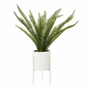 Sztuczna paproć (wysokość 56 cm) Fiori – Premier Housewares obraz