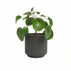 Ceramiczna doniczka ø 15 cm Luna – Artevasi obraz