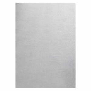 Jasnoszary dywan odpowiedni do prania 200x290 cm Sky – Ayyildiz Carpets obraz