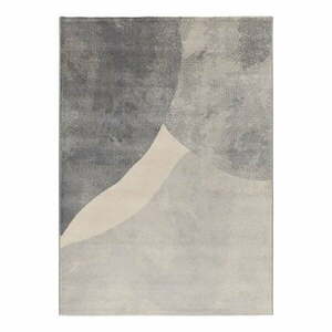 Szary dywan 80x150 cm Monic – Universal obraz