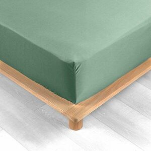 Zielone prześcieradło z perkalu bawełnianego z gumką 180x200 cm Percaline – douceur d'intérieur obraz