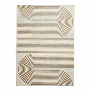 Szaro-złoty dywan 220x160 cm Apollo – Think Rugs obraz