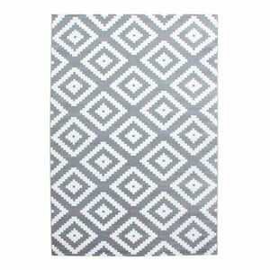 Jasnoszary dywan 160x230 cm Plus – Ayyildiz Carpets obraz