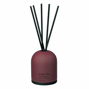 Dyfuzor Fraga: Cinnamon & Apple – Blomus obraz