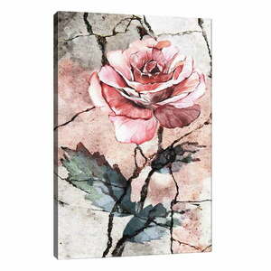 Obraz na płótnie Tablo Center Rose, 40x60 cm obraz