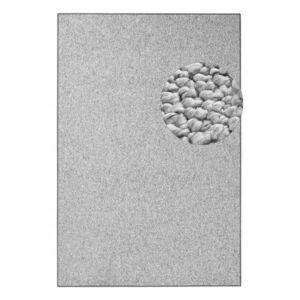 Szary dywan 60x90 cm Wolly – BT Carpet obraz