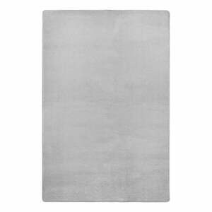 Jasnoszary dywan 80x150 cm Fancy – Hanse Home obraz