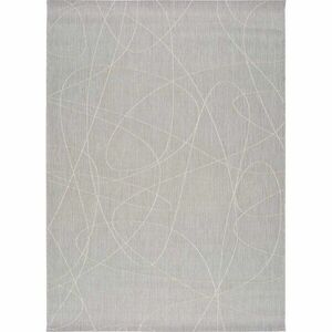 Szary dywan zewnętrzny Universal Hibis Line, 160x230 cm obraz