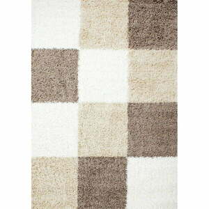 Brązowy dywan 80x150 cm Life – Ayyildiz Carpets obraz