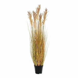 Sztuczna trawa (wysokość 110 cm) Sorghum – House Nordic obraz