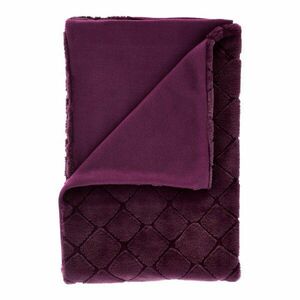 Koc z mikropluszu 130x170 cm Cosy Diamond – Catherine Lansfield obraz