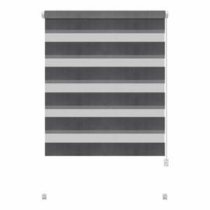 Ciemnoszara roleta dzień i noc 42, 5x150 cm Zebra – Gardinia obraz