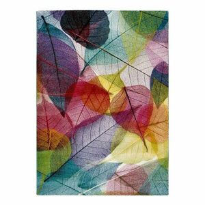 Dywan Universal Colors Multi, 120x170 cm obraz