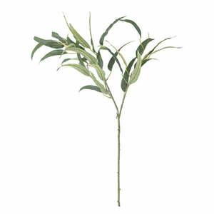 Sztuczny eukaliptus (wysokość 85 cm) Eucalyptus – Bloomingville obraz