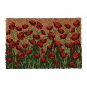 Wycieraczka z włókna kokosowego 40x60 cm – Esschert Design obraz