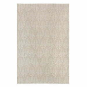 Beżowy dywan zewnętrzny Flair Rugs Seed, 160x230 cm obraz