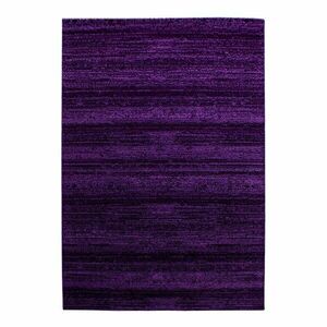 Ciemnofioletowy dywan 140x200 cm Plus – Ayyildiz Carpets obraz