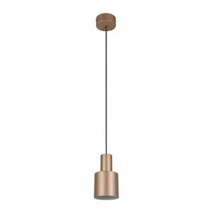 Brązowa lampa wisząca z metalowym kloszem ø 12 cm Agudo – Trio obraz